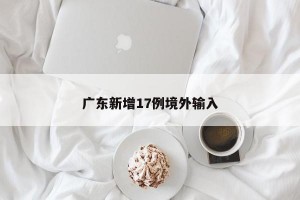 广东新增17例境外输入