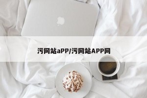 污网站aPP/污网站APP网